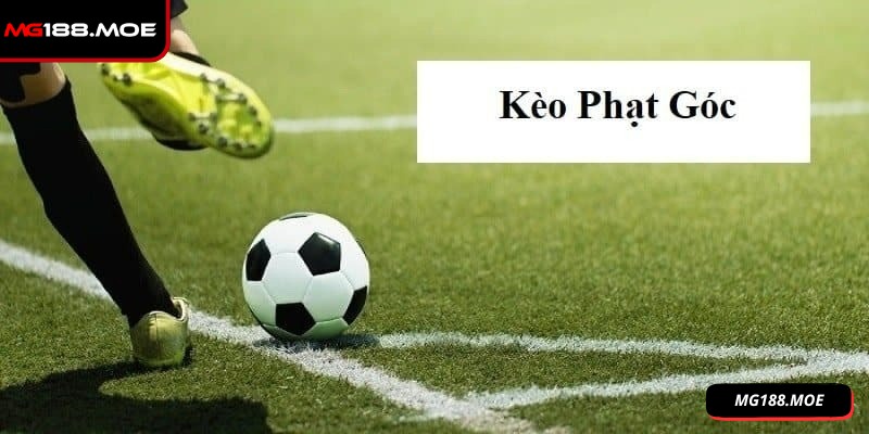 Bet thủ cần chọn thời điểm vàng để cá cược soi kèo hiệu quả